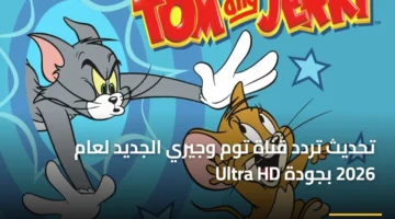 بجودة Ultra HD.. تردد قناة توم وجيري الجديد يستقبل الأطفال بمغامرات ممتعة
